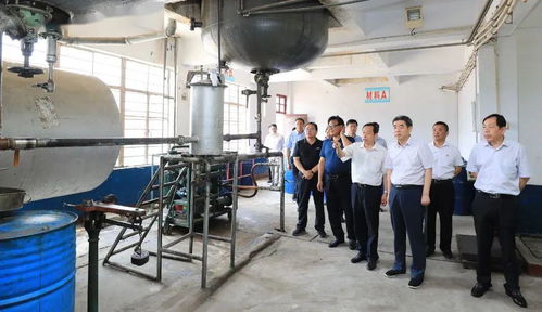 集團領(lǐng)導深入實業(yè)公司調(diào)研，聚焦轉(zhuǎn)型發(fā)展重點