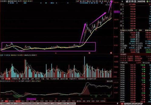 誠邁科技 深度綁定華為生態，軟硬件協同發力鑄就高成長
